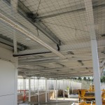 Pigeon Proofing 